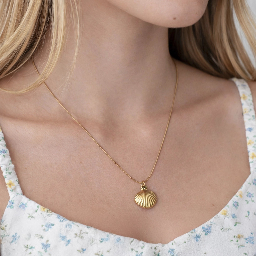 Muschel Kette