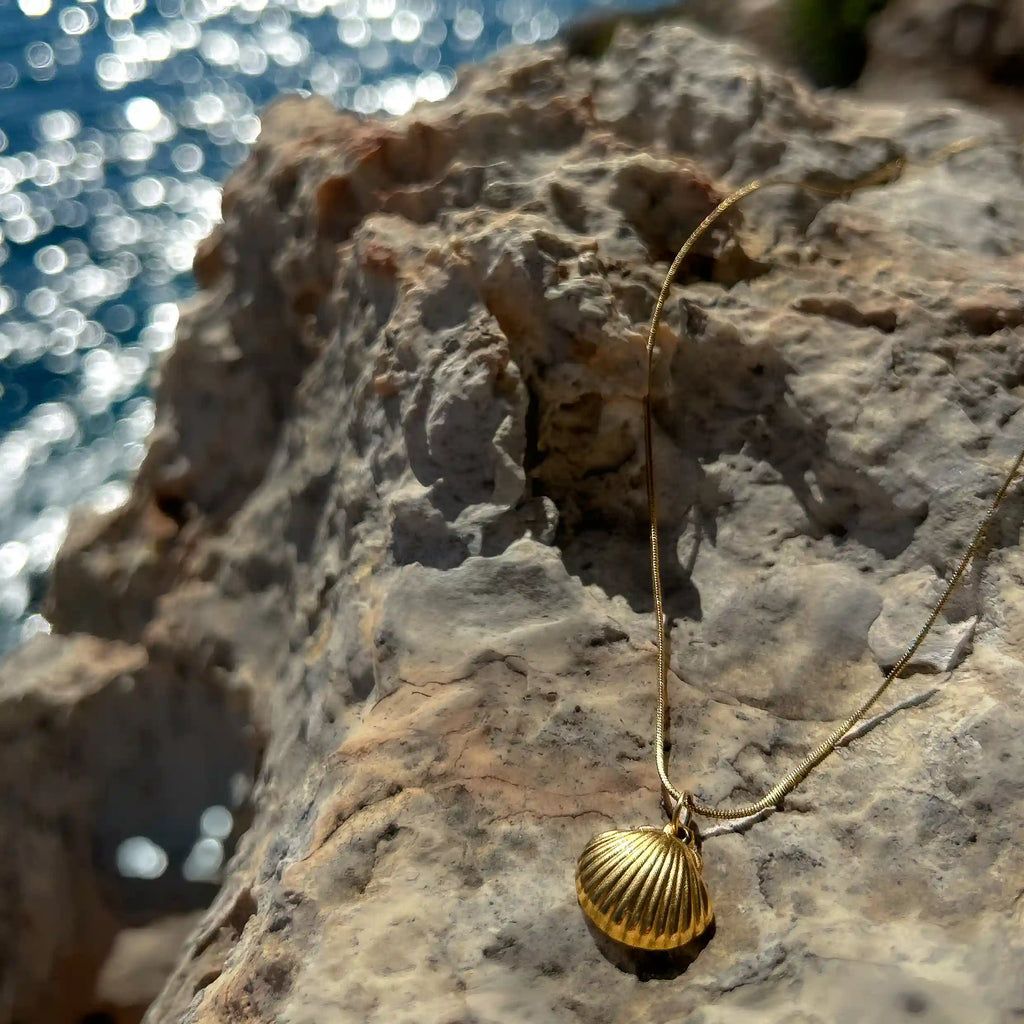 Muschel Kette