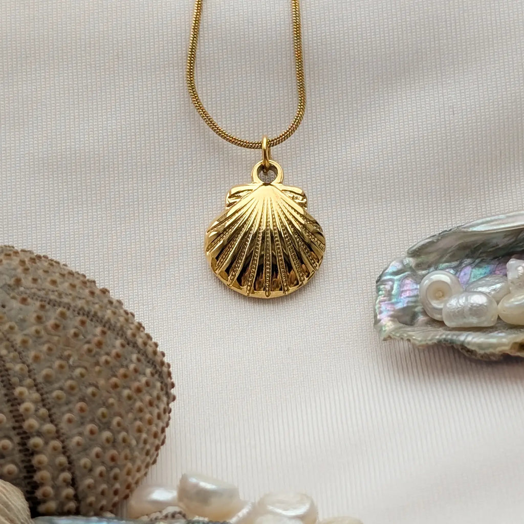 Muschel Kette